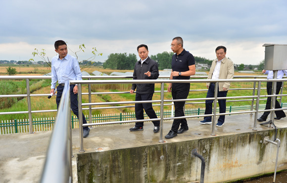 细化举措、凝聚合力，扎实推进环巢湖流域水环境综合治理——省长李国英一行调研长临河镇污水处理厂