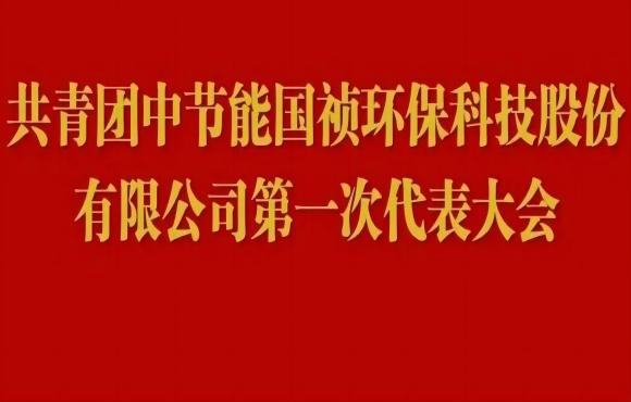 共青团Z6尊龙凯时第一次代表大会胜利召开