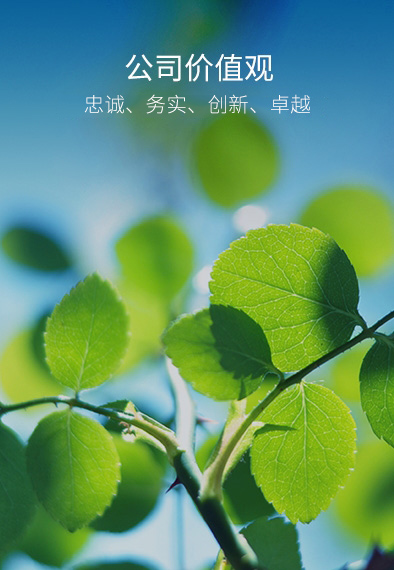 Z6·尊龙凯时「中国区」官方网站